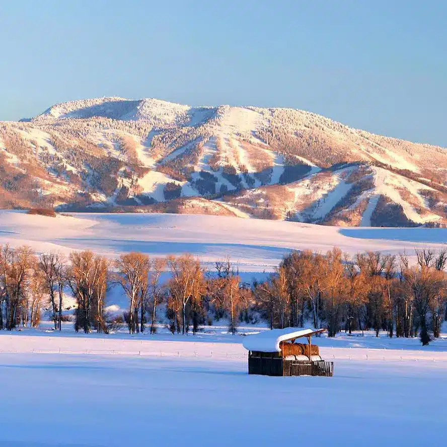 Steamboat Springs image