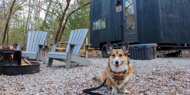 Pet friendly vacation rental homes in Mammoth Lakes and Steamboat Springs