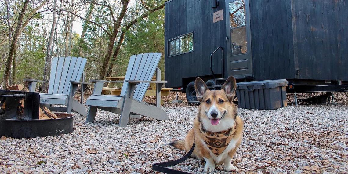 Pet friendly vacation rental homes in Mammoth Lakes and Steamboat Springs