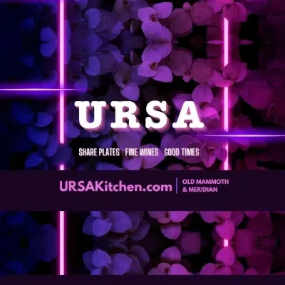 Logo Ursa